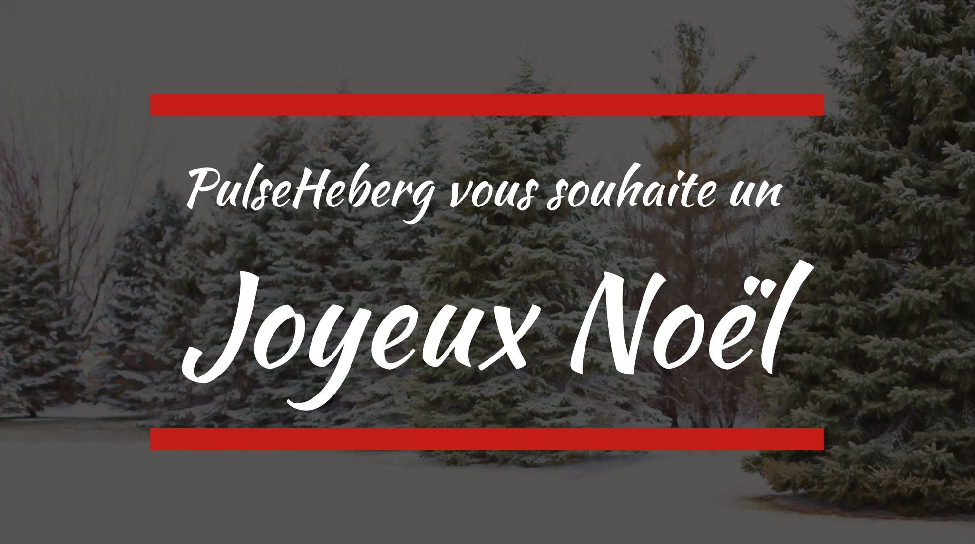 L'équipe PulseHeberg vous souhaite un Joyeux Noël 🎄