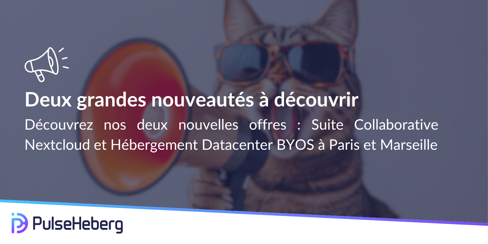 Suite Collaborative et Hébergement en Datacenter : deux nouvelles offres pour accompagner votre croissance numérique